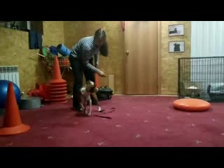 Vid 20191120 181502 mp4