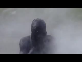 Justin trudeau (canadian prime minister) getting his blackface on