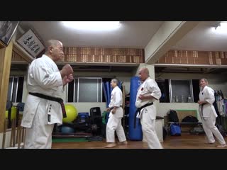 Morio higaonnas karate practice #4 punchblock 東恩納盛夫先生の鍛錬その4