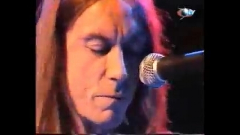 Iggy pop louie louie, i wanna be your dog, pablo picasso (sputnik)