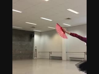 Biscuit ballerina ® rehearses for don quijote