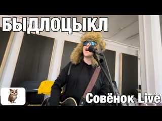 Быдлоцыкл совёнок (live)