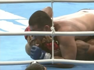 Lyoto machida vs michael mcdonald