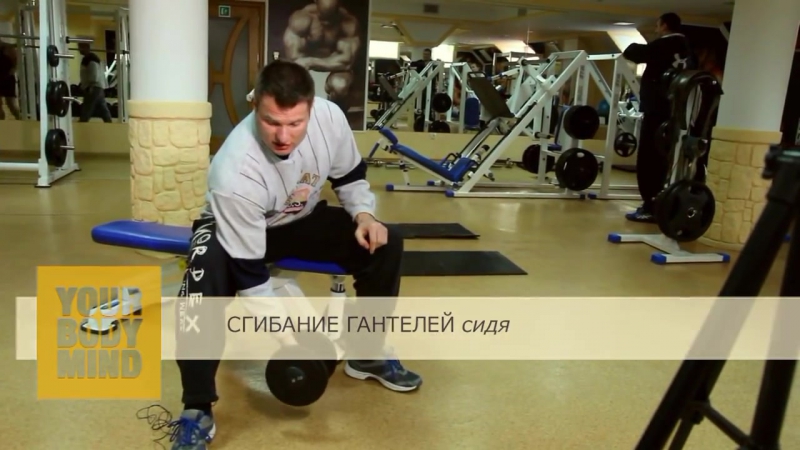 Упражнения с гантелями плечи, руки, грудь