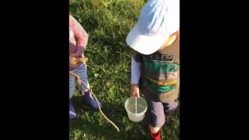 Йәйә, гүмәч миндә бит анализ