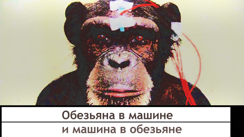 За всем следят машины благодати и любви эпизод 3 обезьяна в машине и машина в обезьяне [tv mini series bbc]