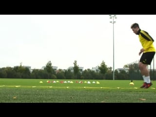 Schön dich auf dem platz zu sehen, raphael guerreiro!