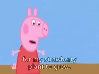 11 peppa pig gardening with subtitles