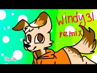 Windy 31