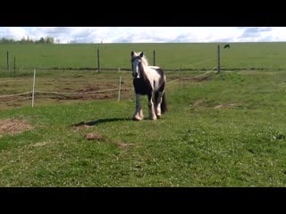 Trim 20200513 102411 mp4