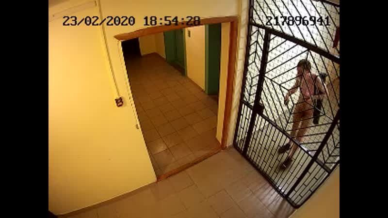 Дружелюбный сосед виджилинк