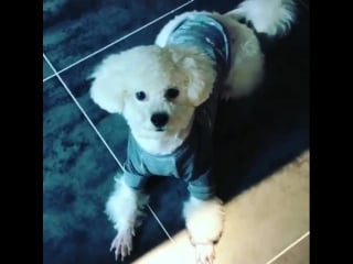 [video] 180704 sehun @ cecikorea instagram update