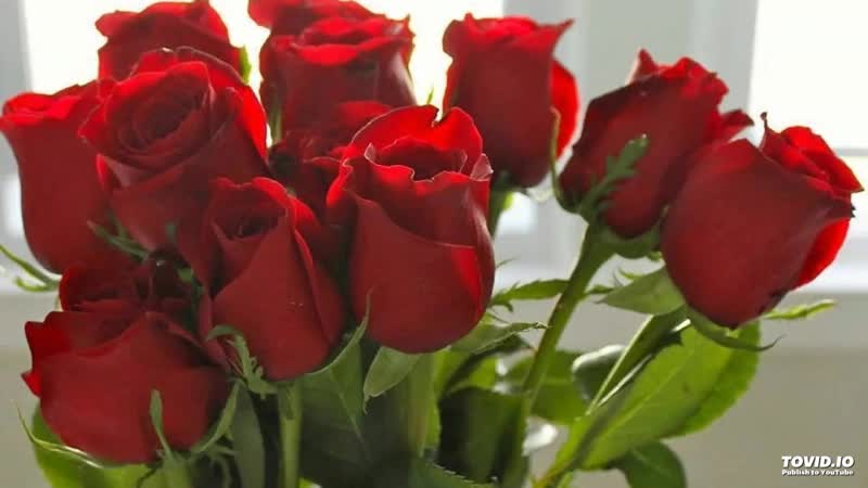 Пусть летят мои дни ˜”*°• ♥ •°*”✿◦ ¸🌹¸ ✿˜ супер песня ˜✿◦ ¸🌹¸ ✿”*°• ♥ •°*”˜