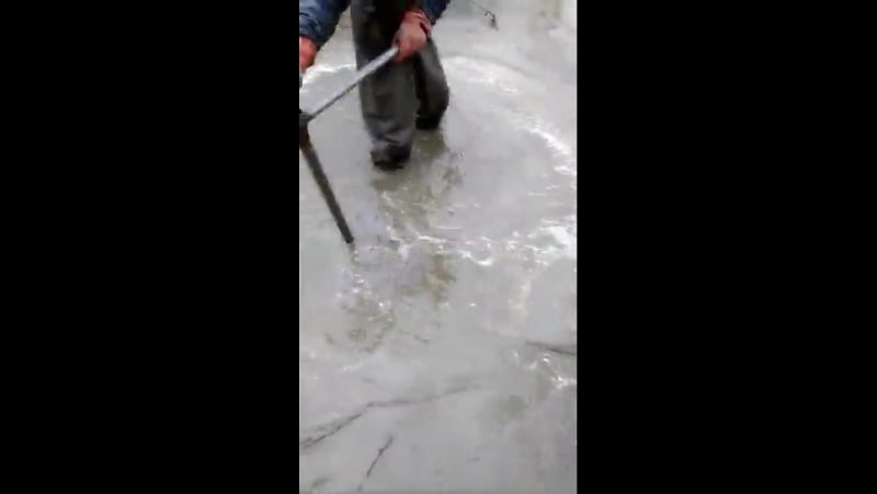 Юра тичичнік от бога мочить коней