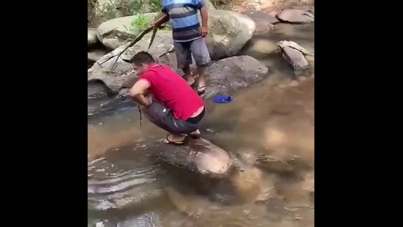 Последний выстрел из ружья