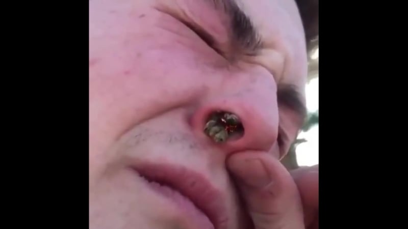 Хардкорный способ курить траву