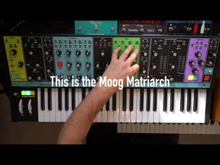 Ambient jam with moog matriarch and subsequent 37, strymon big sky, eventide space and timefactor