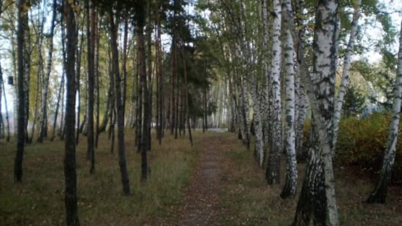 Песьня на верш ніла гілевіча выконвае данчык