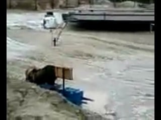 Мишаня с братом пришел))))