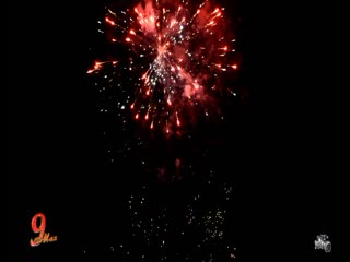 Салют грязовец