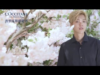 [video] luhan @ l'occitane en provence cherry blossom collection