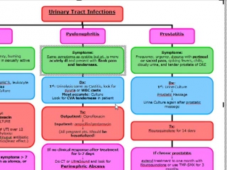 Infectious urinary tract infections