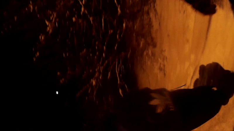 Девушка в семени