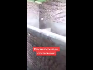 Стасян принял ред бул8