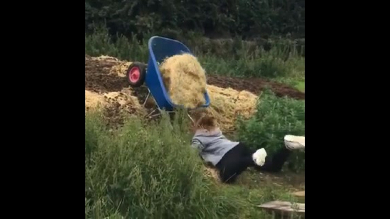 Девушка и тяжелая тележка