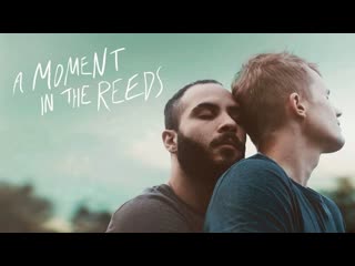 Мгновение в камышах a moment in the reeds (2017)