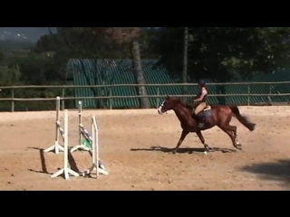 Jumping training three strides out and how your actions before them (see more in description)