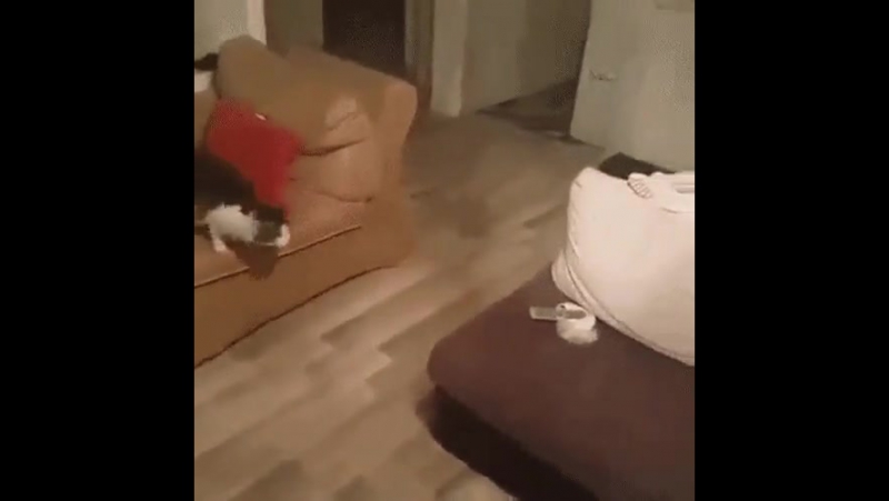 А я лягу прилягу