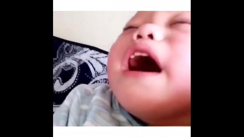 Таратайық достар