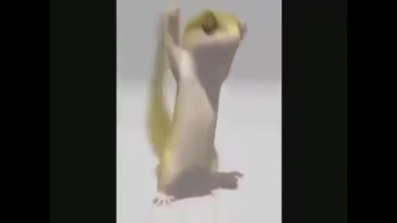 Ебанутый ящер валера дико флексит под quiizzzmeow заур cooman