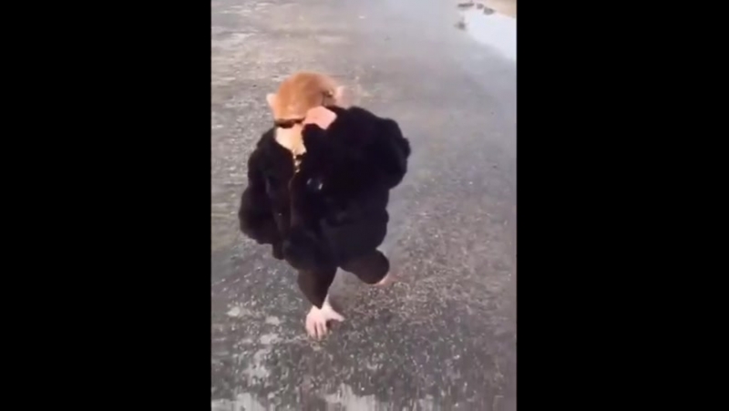 Выбросы ртути