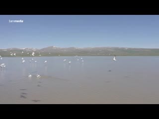 Armenian beauty lake arpi