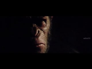 Obezyanina planeta 2o17 d ts 14oomb koshara