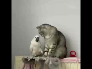 Porn public 20210215 103903 0 1 mp4