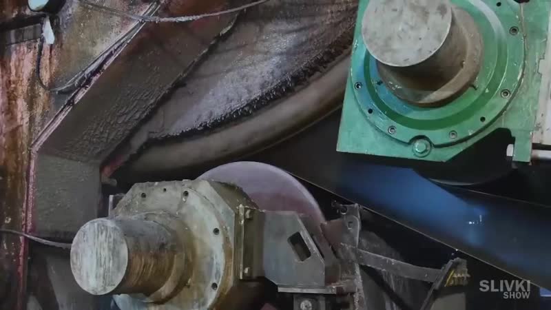 Вот как делают туалетную бумагу