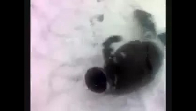 Эпопея