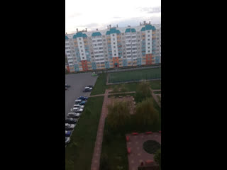 Live мега гринн