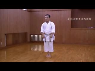 Kobayashi shorin ryu / kata naihanchi nidan