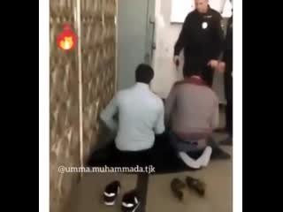 Докопались менты [mdk dagestan]