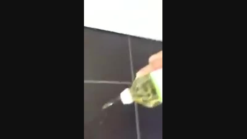 Знатно тролит