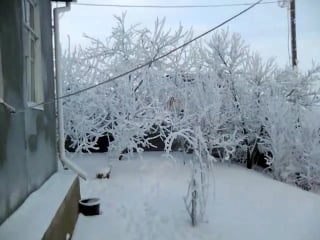 Vid 20160118 115318