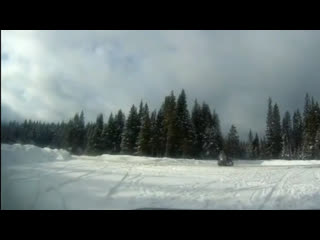 Месть за штрафы