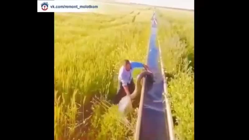 Когда в школе учил физику