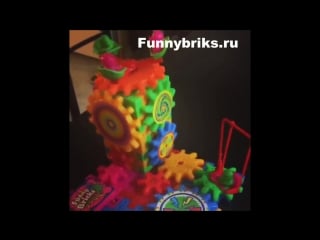 Funny bricks
