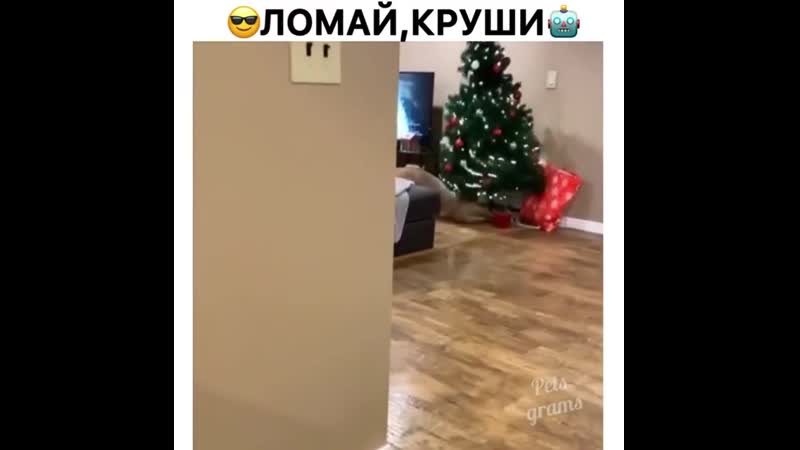 Весёлый porn video – Весёлый пёсель
