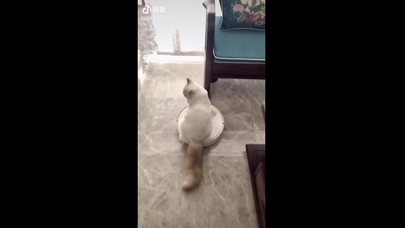 Придумай название и напиши в комментариях!